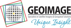 Geoimage-Unique-Insight-log
