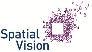 Spatial Vision Logo